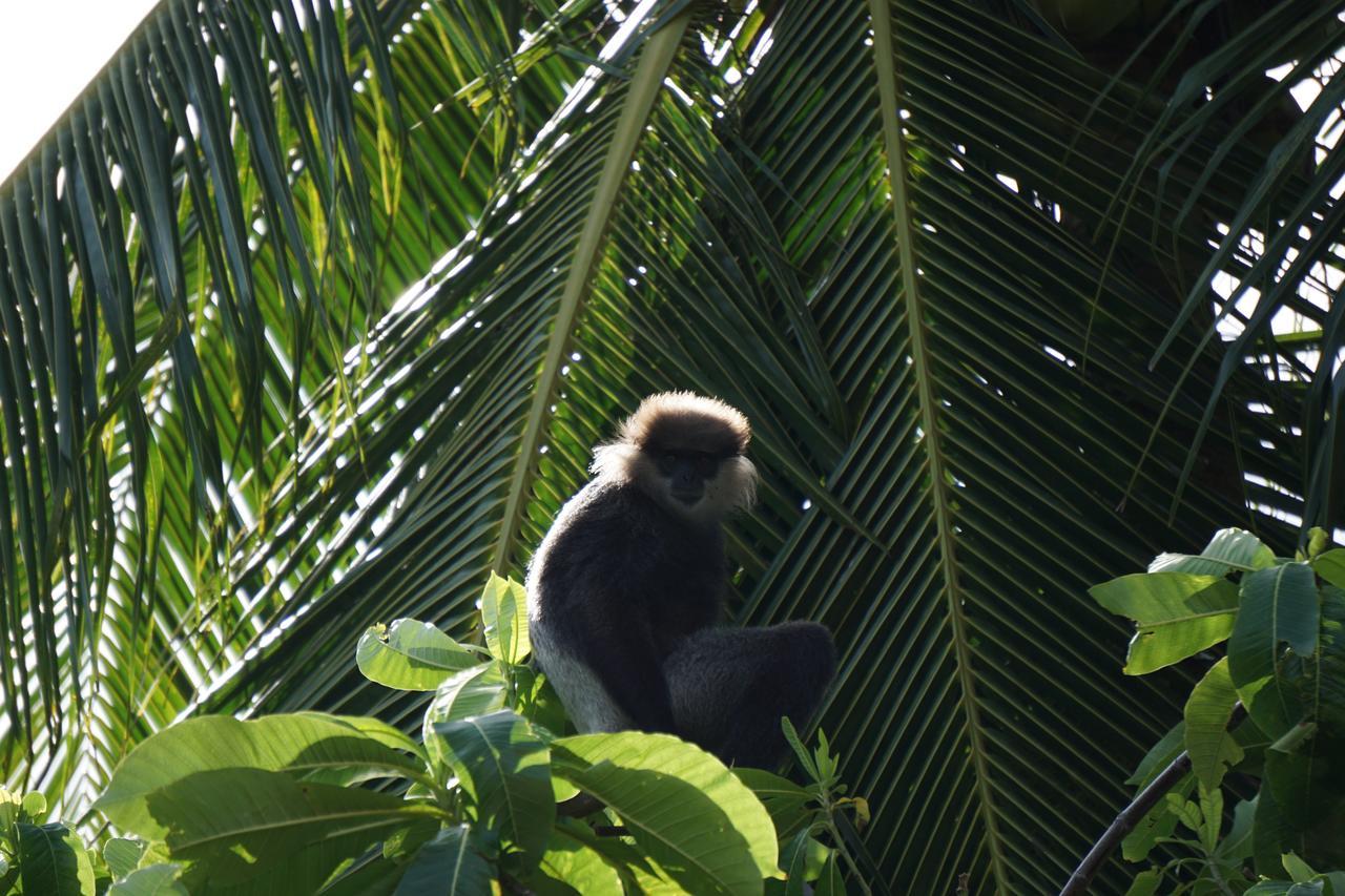 Ginganga Lodge Galle Zewnętrze zdjęcie