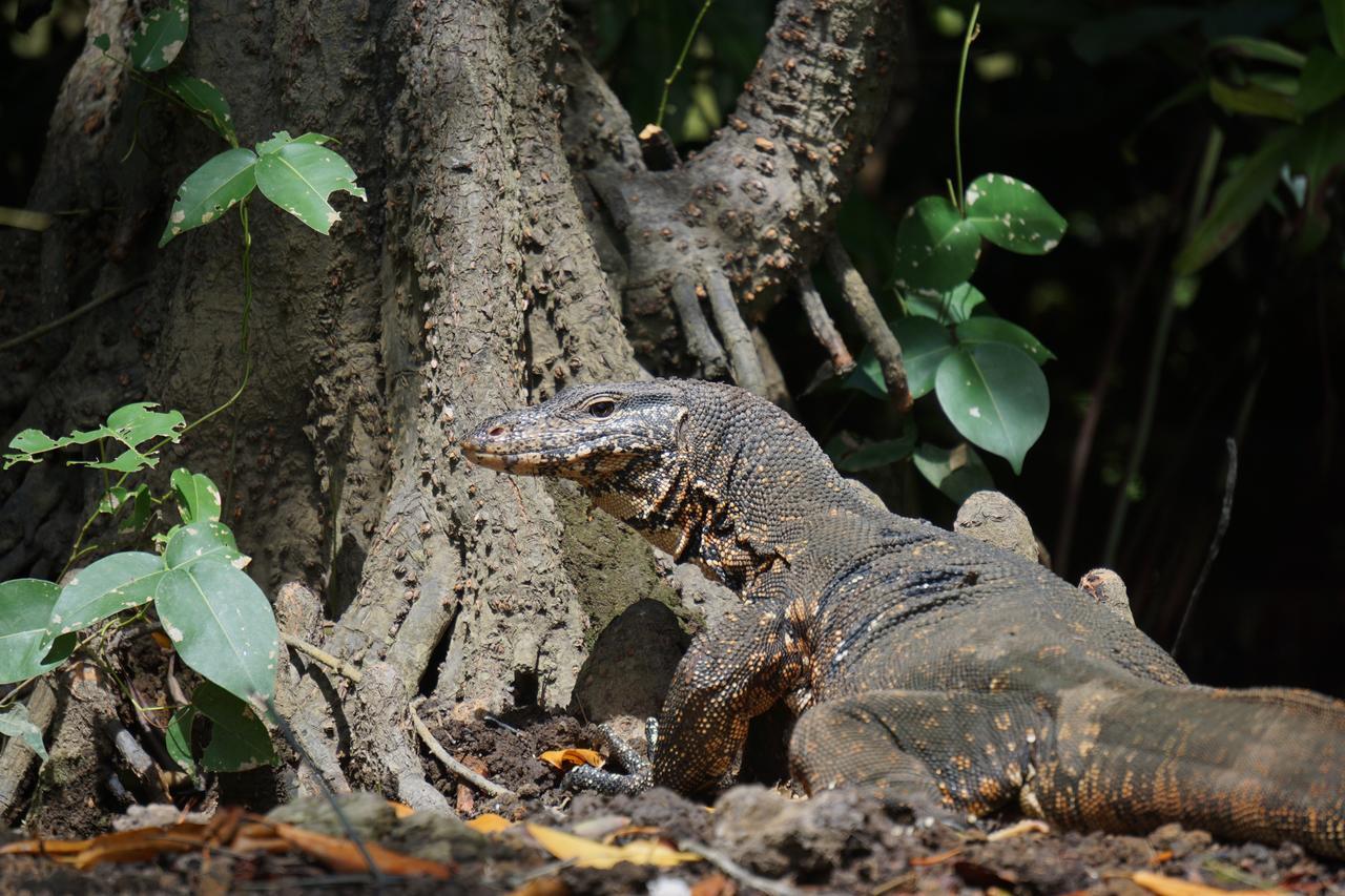 Ginganga Lodge Galle Zewnętrze zdjęcie